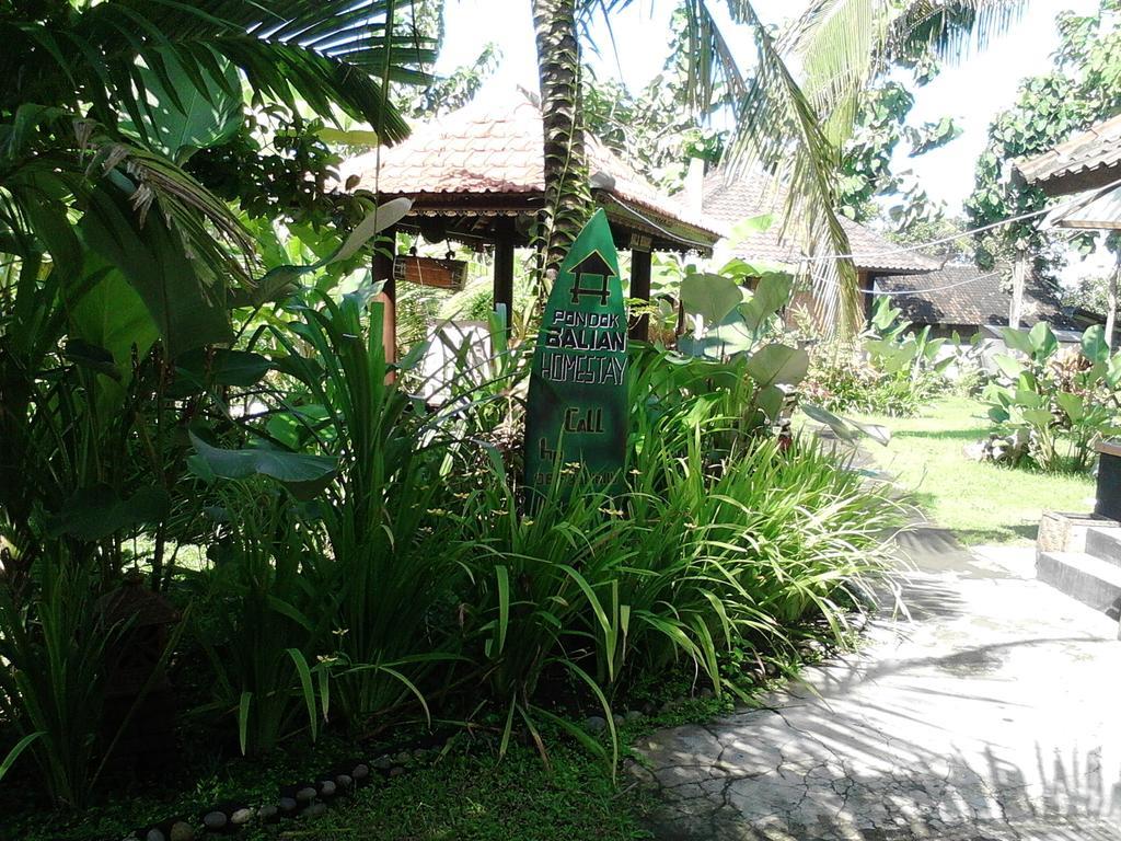Pondok Balian Selemadeg  외부 사진